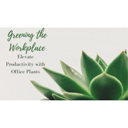 Greening the Workplace: Elevate Productivity with Office Plants